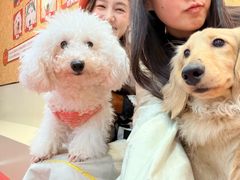 -和它·交个朋友·狗咖猫咖(爱琴海店)