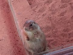 -杭州野生动物世界