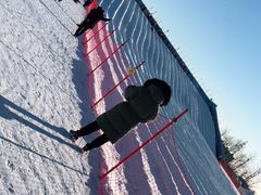 -绿野森林乐园冰雪季