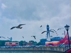 -大连圣亚海洋世界