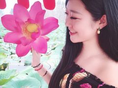 -白洋淀景区