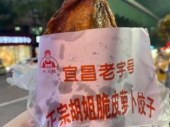 -半月镰胡姐脆皮萝卜饺子