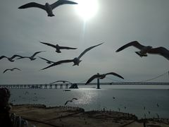 -星海广场