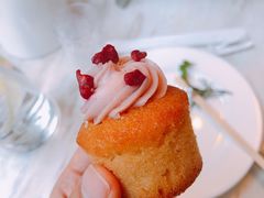 -苏州希尔顿酒店·园大堂吧