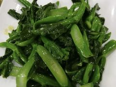 姜汁炒芥兰-广宁炭炉鸡煲·富临门饭店