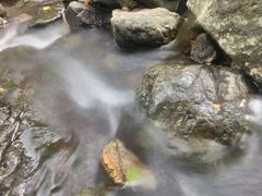 -泸溪河桃酥(五彩城店)