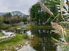 -四海公园(南山区)