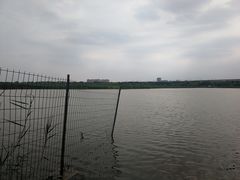 -绿堤公园