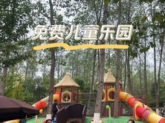 -合肥滨湖国家森林公园