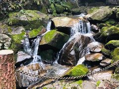 -藏龙百瀑风景区