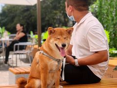 -喜茶(深圳喜荟城店)