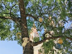 -青岛天主教堂(市南区)