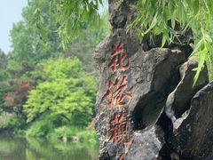 -西湖外事游船(花港观鱼码头)