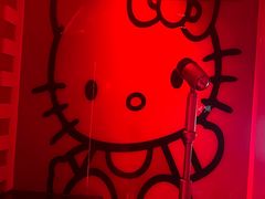 -皓声音KTV(新景店)