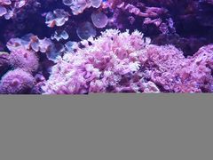 -洛阳龙门海洋馆
