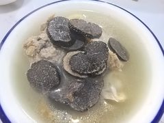 -蘑统田下·野生菌火锅