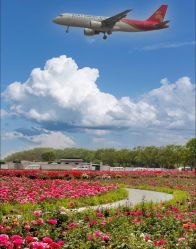 -米莱摄影写真(五大道别墅店)