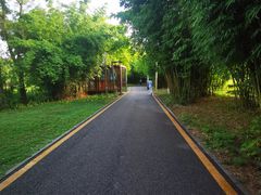 -花溪公园