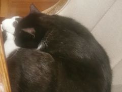 -么么咖啡(燕郊店)