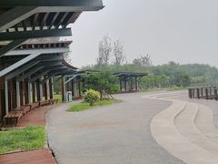 -东郊湿地公园