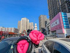 -小苍兰风铃草蛋糕甜品(沈阳店)