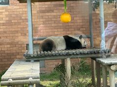 -苏州太湖国家湿地公园