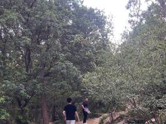 -虞山风景区
