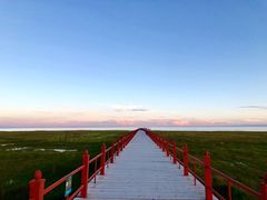 -青海湖仙女湾景区