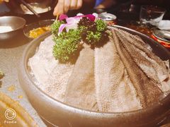 -渝涯重庆豆花老火锅(中赢国际店)