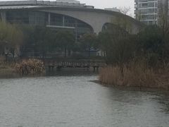 新江湾城公园-新江湾城公园