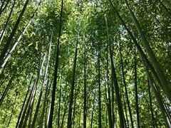 -竹泉村旅游度假区