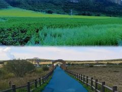 -塞罕坝国家级自然保护区