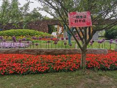 -武汉园博园(武汉自然博物馆)