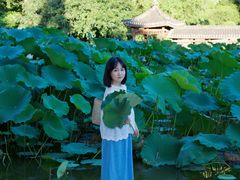-龙头寺公园
