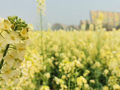 -中国天府农业博览园