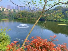-重庆彩云湖湿地公园