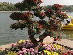 -廊坊文化艺术中心