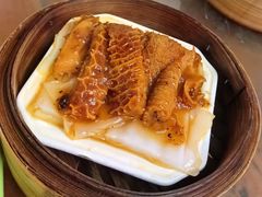 金钱肚-阿弟早茶大排档(九村店)