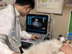 -安安宠医·臻爱宠物医院·宠保定点(营门口路分院)