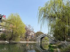 -合肥滨湖国家森林公园