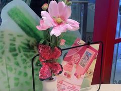 -哈根达斯(陆家浜路店)