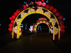-映月湖公园