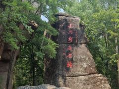 -汤旺河林海奇石景区