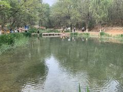 -云岗森林公园