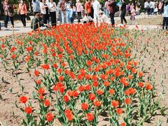 -长春公园(普阳街道)