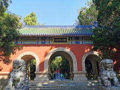 -灵谷景区