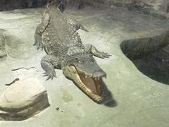 -上海大自然野生昆虫馆(东方明珠·爬宠昆虫探索中心)
