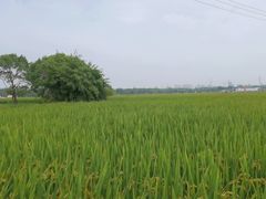 -嘉北郊野公园