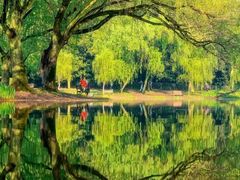 -上海共青森林公园