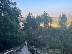 -青龙山国家森林公园